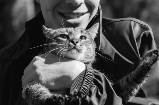 Комедийный сериал «На дне» о борьбе жильцов дома против нечестного застройщика